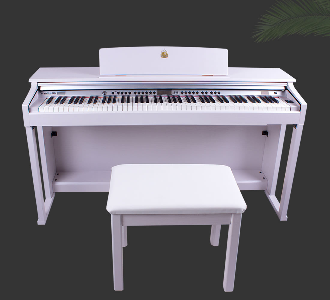 Taishan Electric Piano